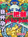 我怀孕了一把剑小说