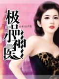 极品小神医
