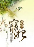 重生之宠妃攻略txt