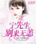 宁先生,别来无恙免费阅读