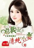 总裁宠妻请温柔小说免费全文阅读