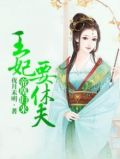 帝凰归来:王妃要休夫小说