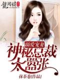 溺爱成婚,总裁宠妻百分百
