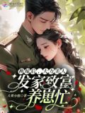 换嫁后,大力美人发家致富养崽忙小说