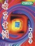 电子生涯 小说