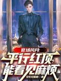 官场小说平步权锋免费阅读