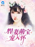 悍妻萌宝宠入怀百度云
