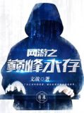 网游之巅峰永存