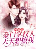 豪门闪婚甜宠