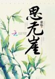 思无崖集团