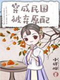 民国旧式原配[穿越]百度网盘下载