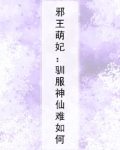 邪王萌妃天才神妃难驯服