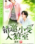 错邀小受入狼室
