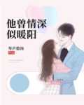 他曾情深似暖阳