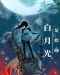白月光是假的小说百度云