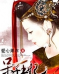 呆子王妃 小说
