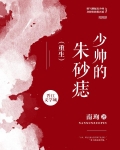 少帅的朱砂痣