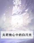 夫君他心中的白月光