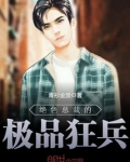 绝色总裁的极品狂兵