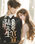 结婚以后陆先生天天粘着我小说
