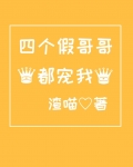 四个假哥哥都宠我