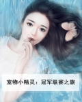 《宠物小精灵之冠军》