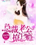 总裁老公，撩上瘾