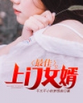 最佳上门女婿1381