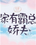 家有霸总娇夫(女尊)简介