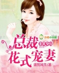非常身份，总裁花式宠妻