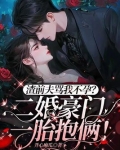 渣前夫骂我不孕?二婚豪门一胎抱俩! 作者:开心麻瓜
