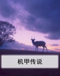 机甲传说投降派九阶机甲