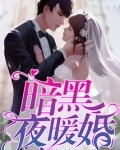 暗黑暖婚系列免费阅读