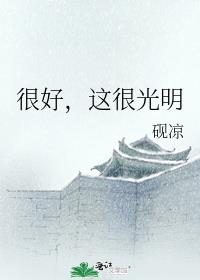 很好,这很光明 小说
