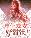 重生爱妻好嚣张全文阅读