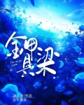 金甲具梁