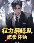 权力巅峰继续全集阅读