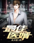 最佳医婿林凡苏清柔下载
