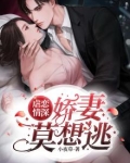 宠妻虐恋