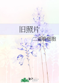 旧照片