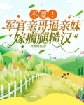 乖媳妇换包装了吗