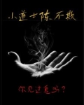 小道士陈不欺最新章节更新免费阅读