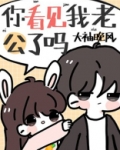 你看见我老公了吗