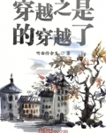 穿越之我是hz