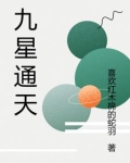 九星说明