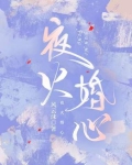 夜火婚心小说