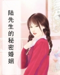 陆先生的秘密婚姻
