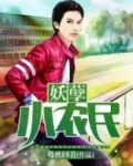 妖孽小农民龙天小说