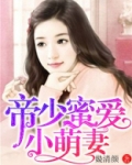 帝少宠小萌妻