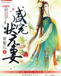 盛宠状元妻